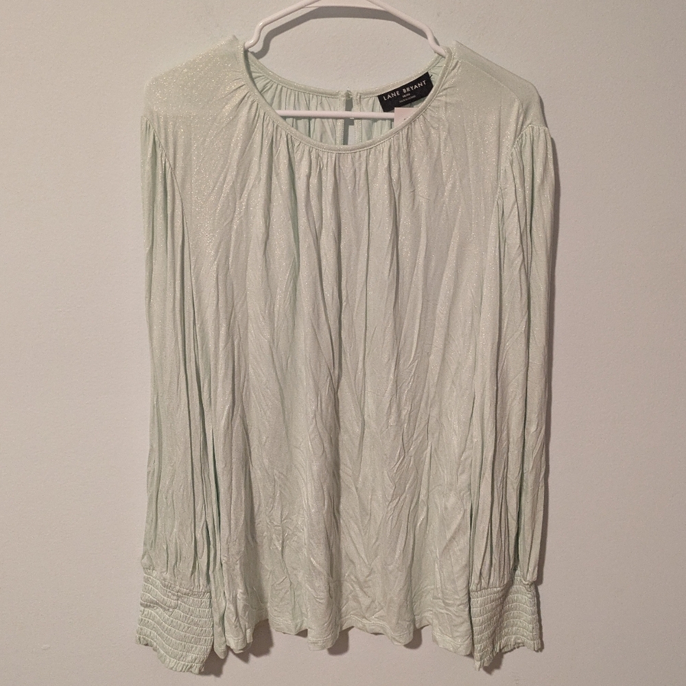Lane Bryant Pale Green Sparkle Long Sleeve Smocked Cuff Top Size 18/20 or 2X